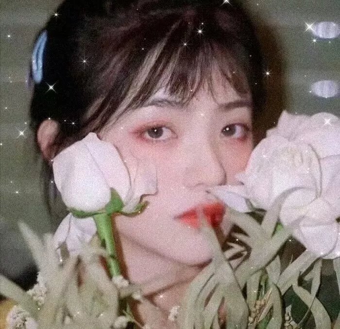 我叫布萨芭国语